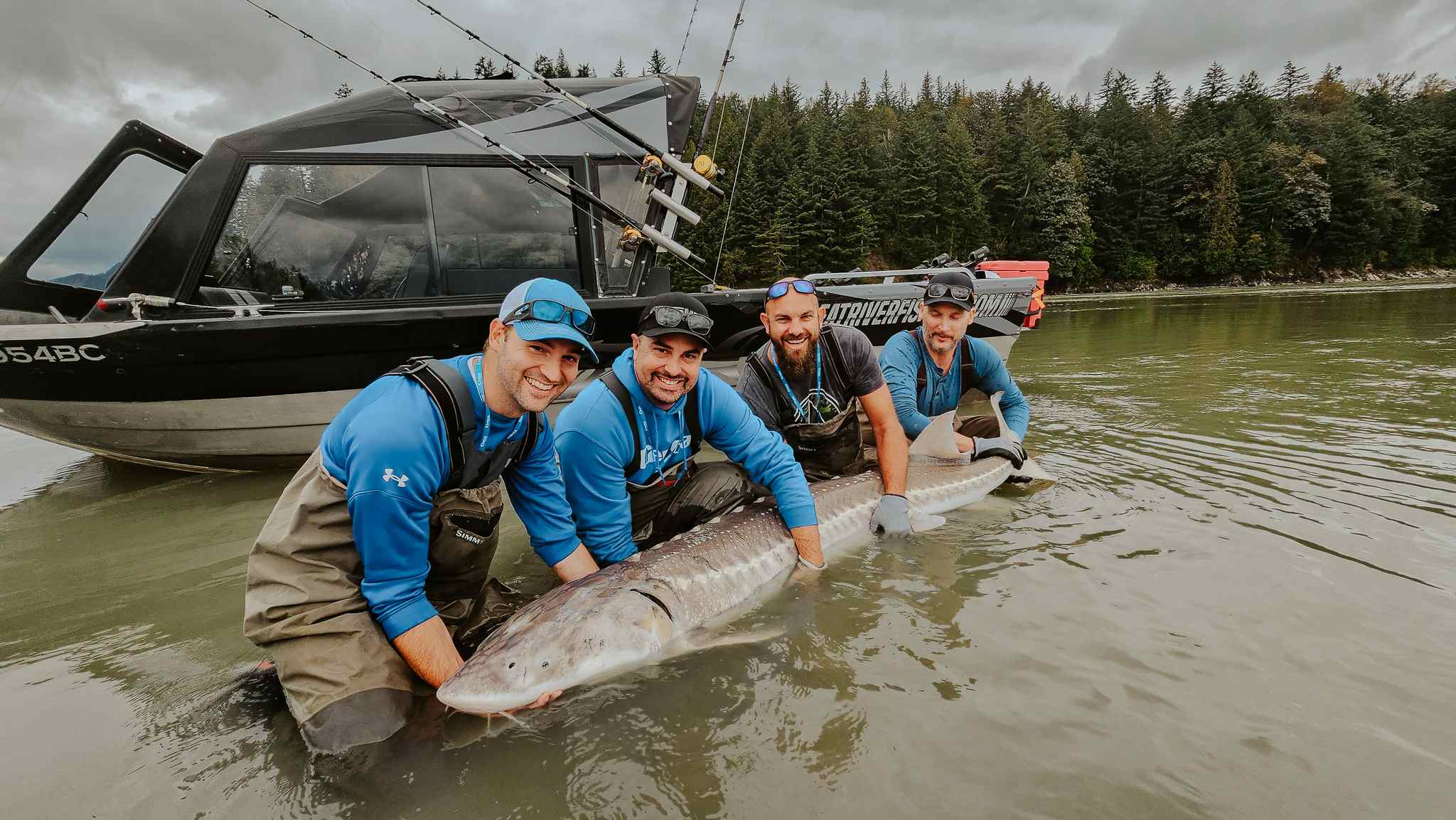 Four smiling anglers crouch in the river shallows supporting a giant sturgeon, with a black jet boat and forest behind.