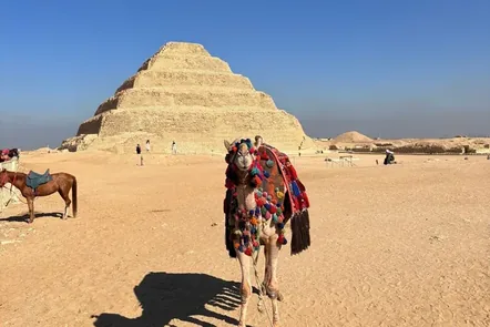 The Step Pyramid of Djoser at Saqqara, with a camel resting in front.