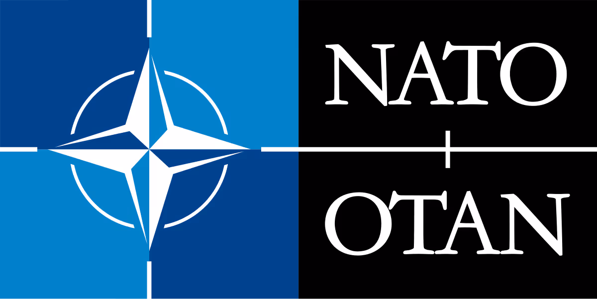 Strategic Cyber Defence