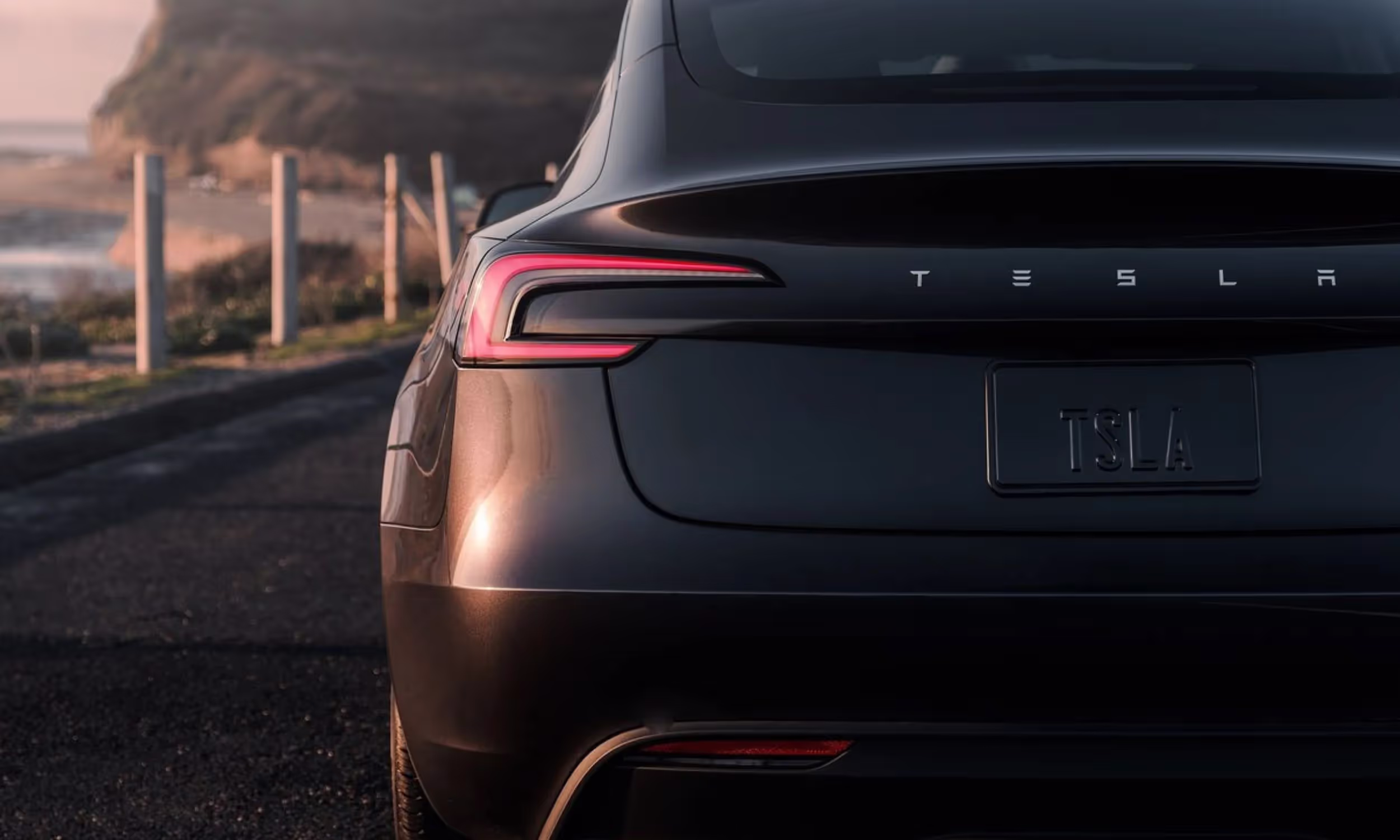 Tesla Model 3 Premium Long range AWD 5