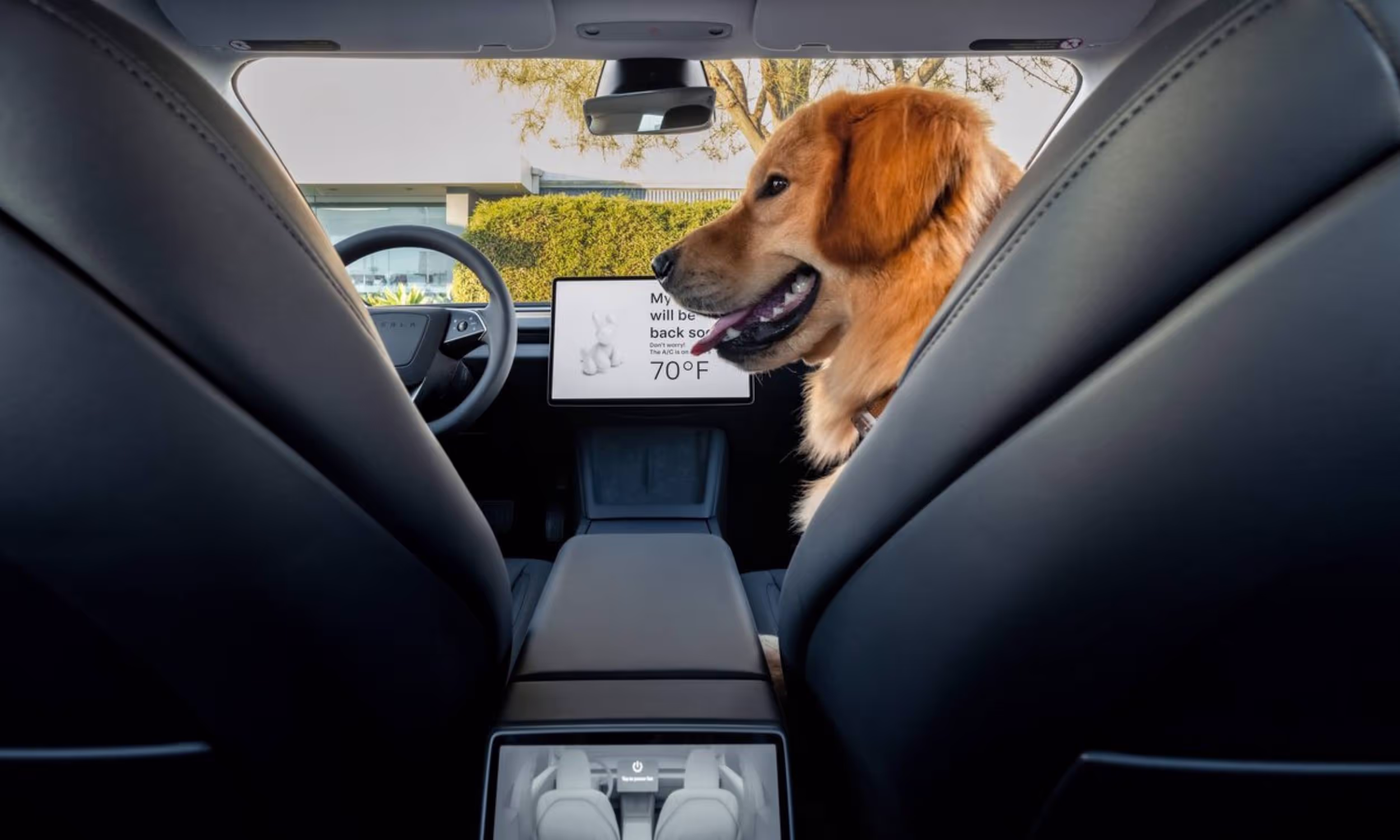 Tesla Model 3 Standard Range RWD 6