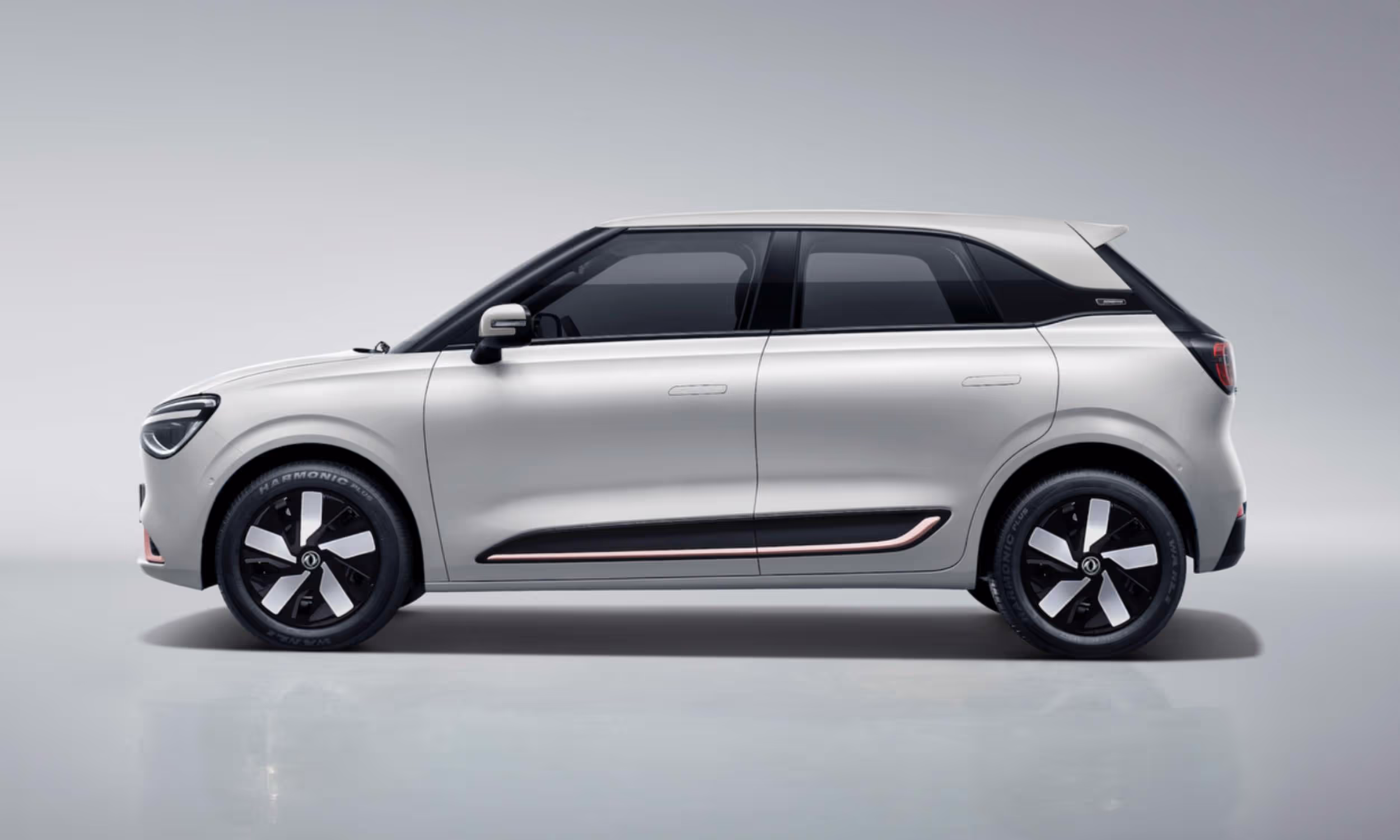 Dongfeng Nammi Box 310 km 6