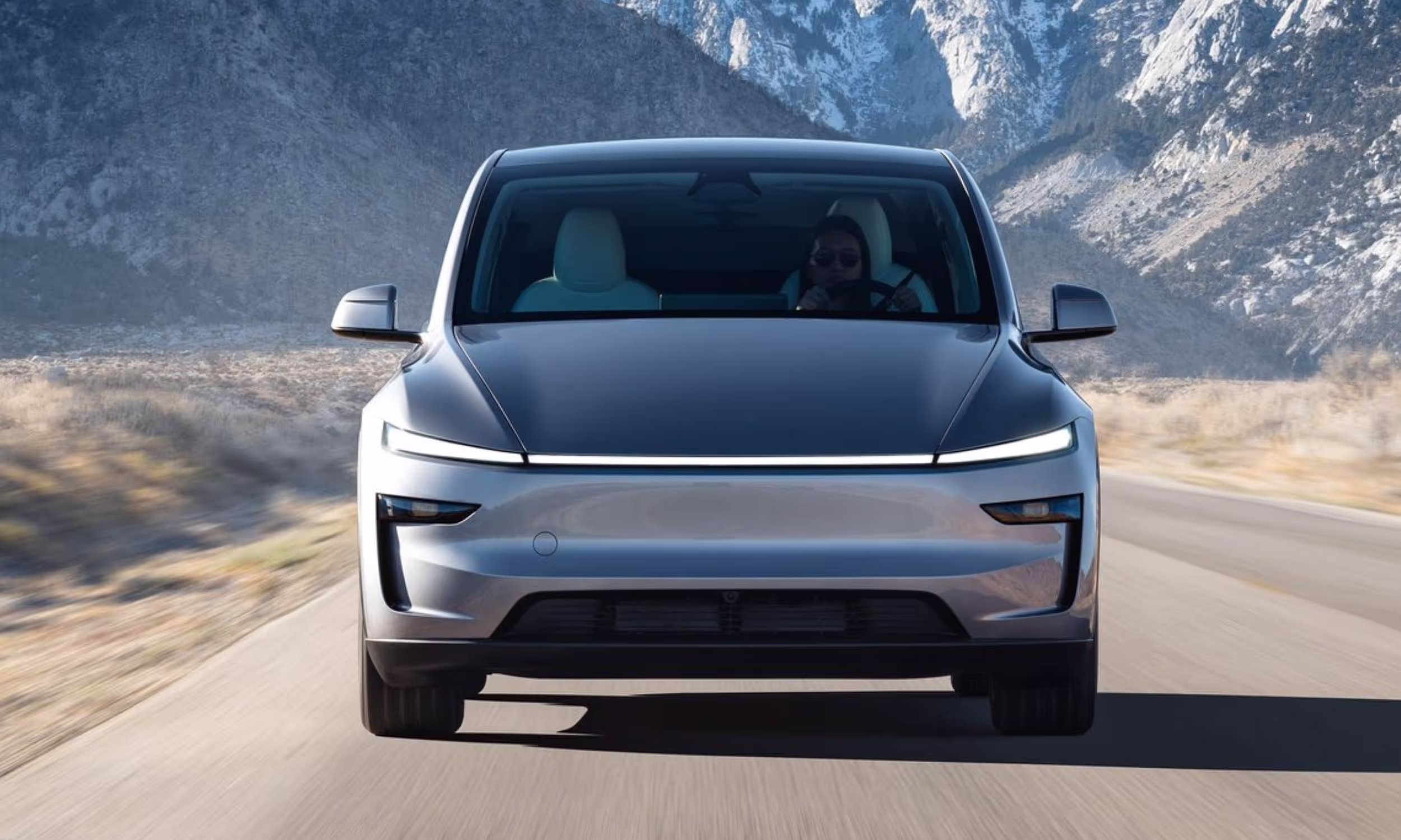 Tesla Model Y BEV Standard RWD 5