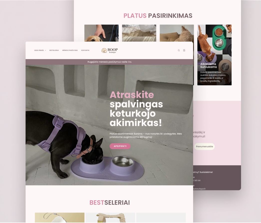 A mockup of a project