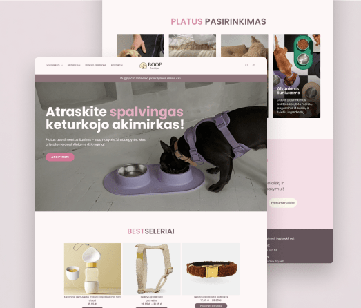 A mockup of a project