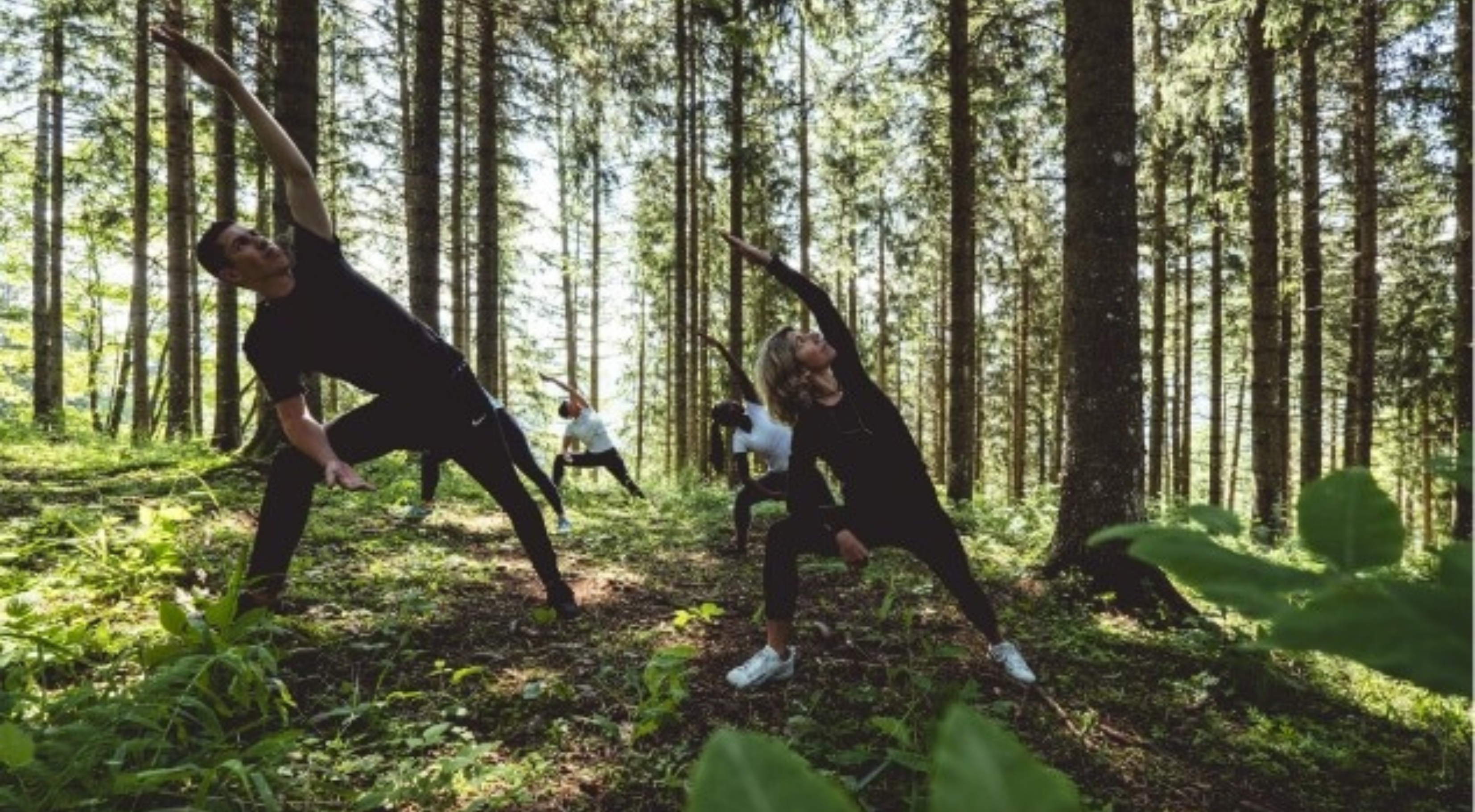 Yoga in the forest