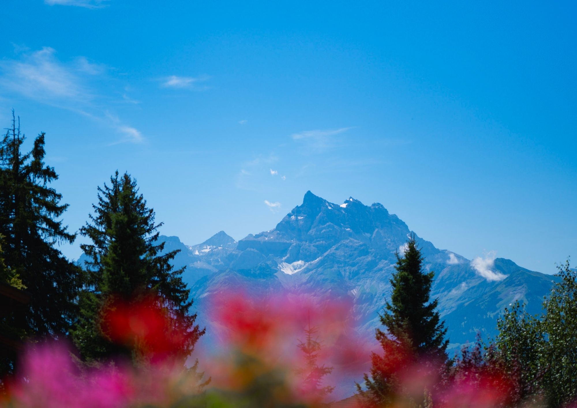 Chalet Royalp - Spa