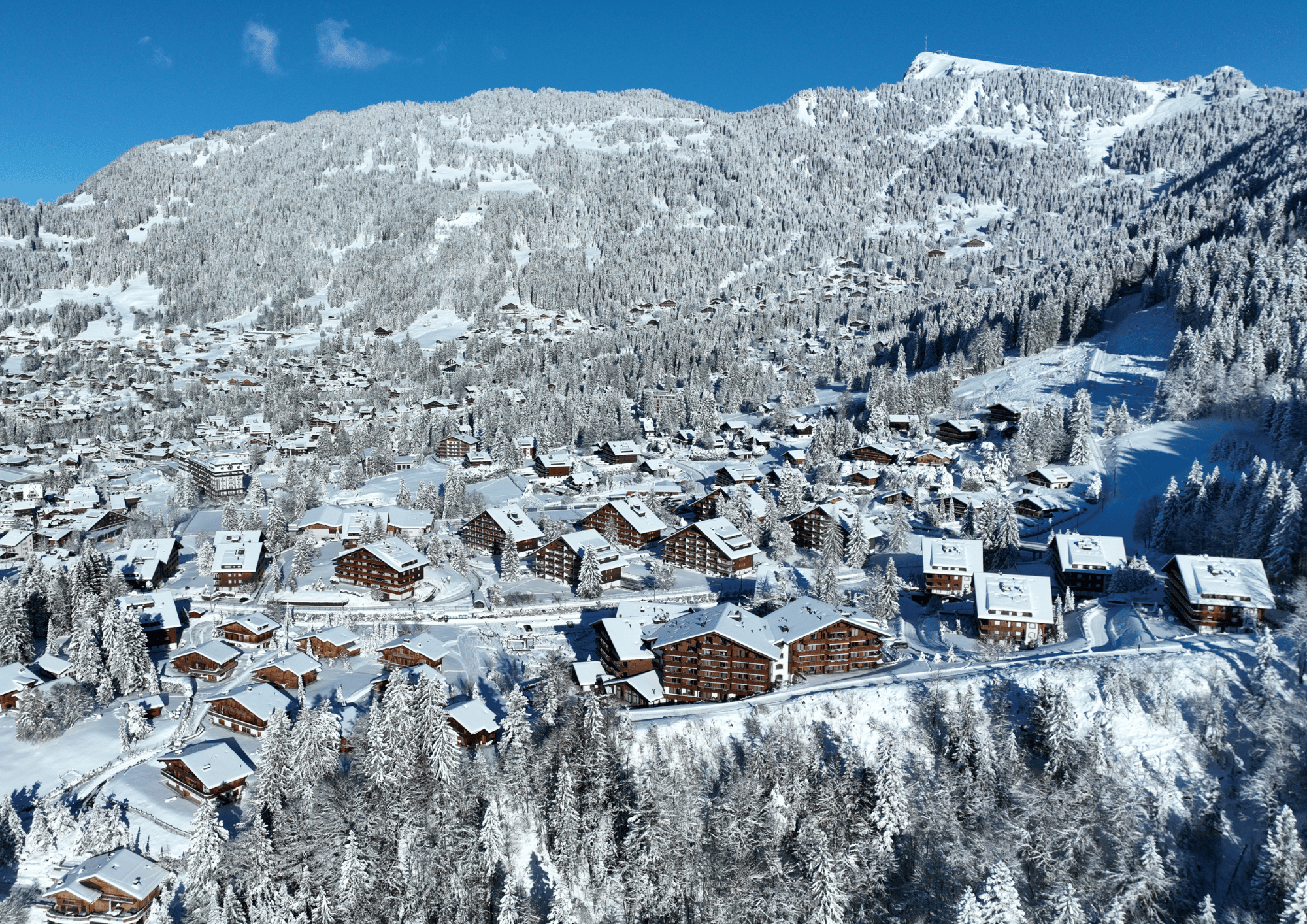 Chalet Royalp - Spa