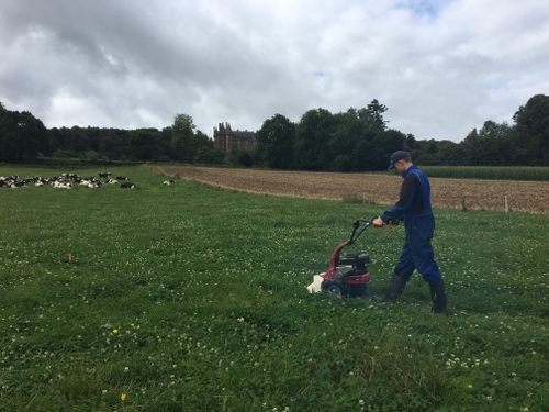 Ferme de Trévarez (29)
