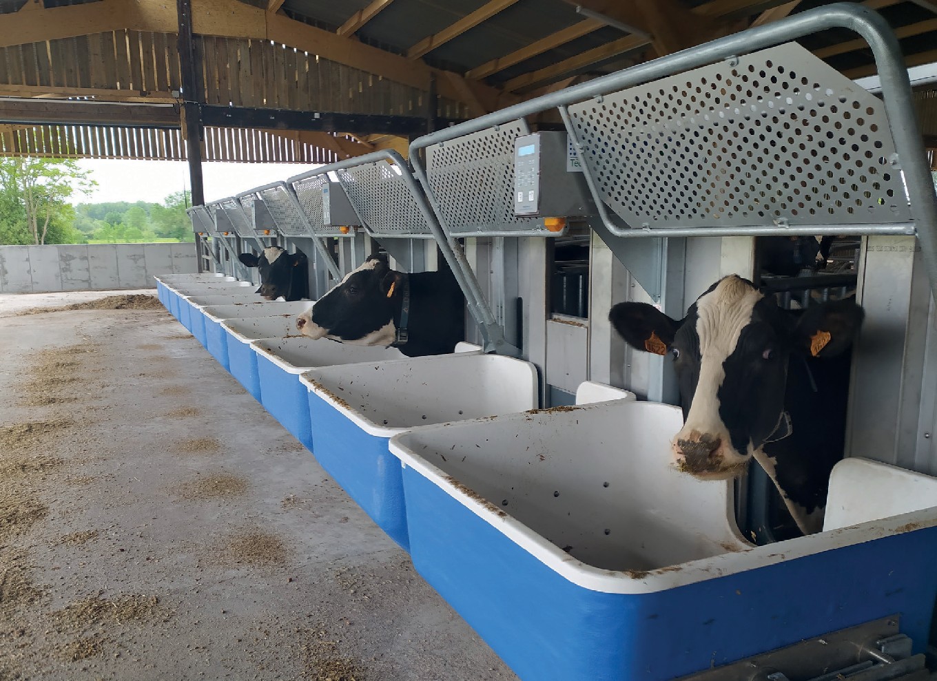 Comment les vaches laitières réagissent-elles à une réduction des apports en concentré de production ? - Fiche technique n° 1 - Harpagon