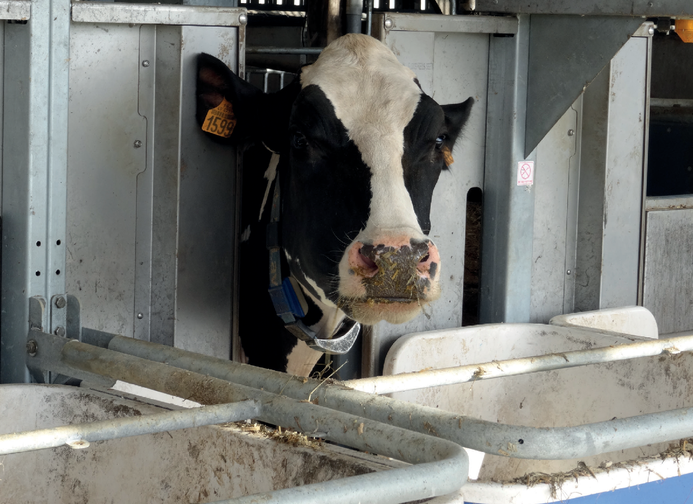 Faut-il individualiser l’apport de concentré de production ? Fiche technique n°4 - Harpagon