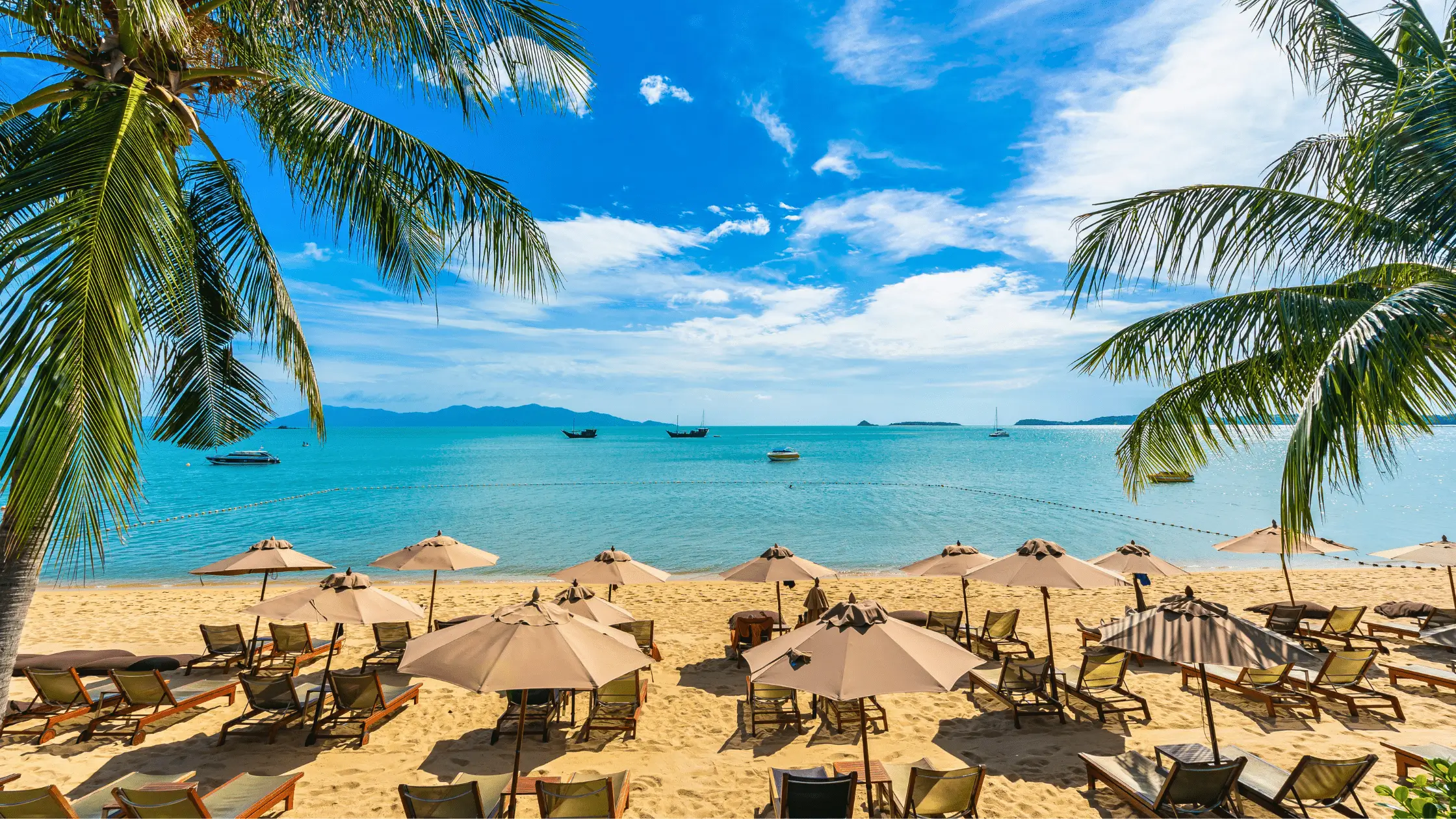 belle-plage-tropicale-mer-et-ocean-avec-cocotier-et-parasol-et-chaise-sur-ciel-bleu-voyage-guadeloupe