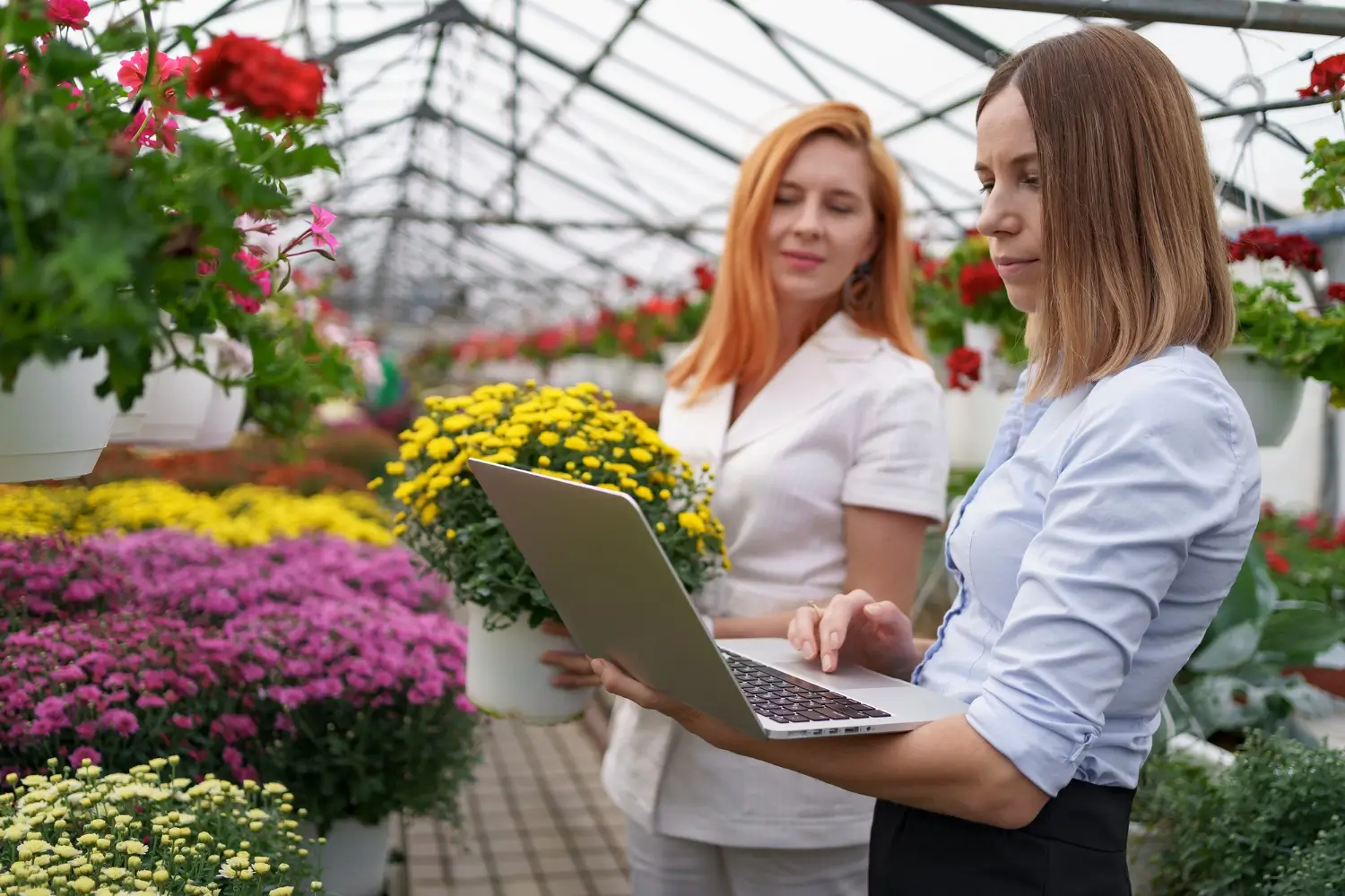 Software para florerías