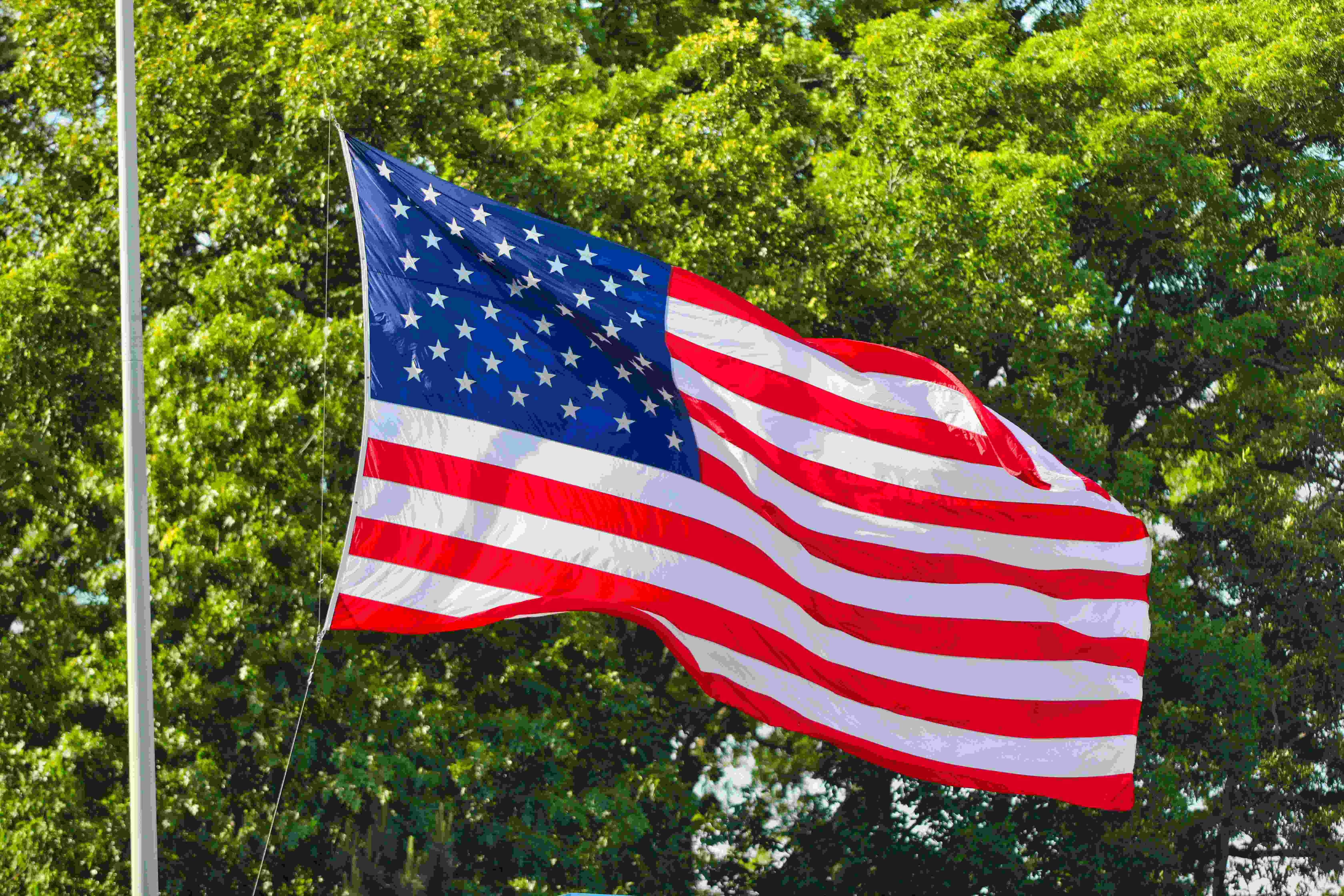 Institute of International Education’s (IIE) 2025 Open Doors Report