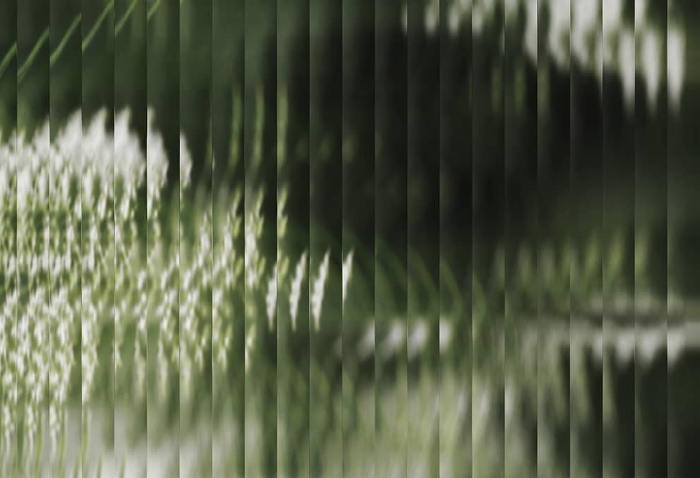 Abstract vertical stripes creating a blurred, dreamy effect with green and white tones suggesting movement or motion blur.