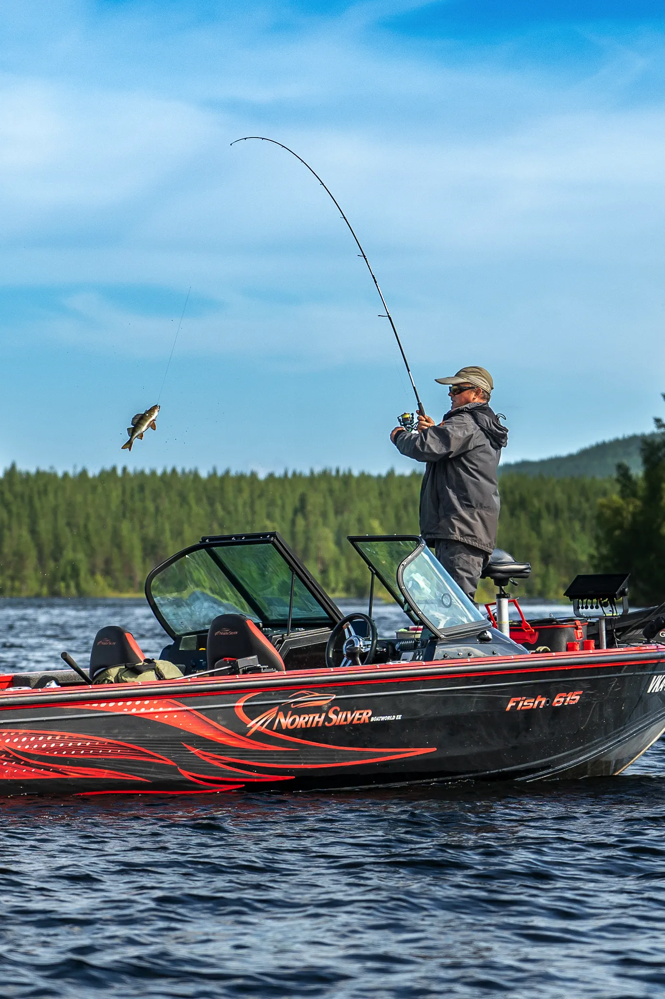Lapla Fishing, Storuman, Swedish Lapland, Perch