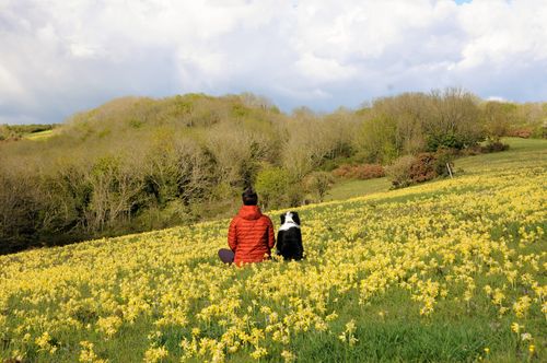 Jo Stephens Wildyogis guided wellness