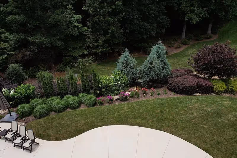 Backyard landscaping