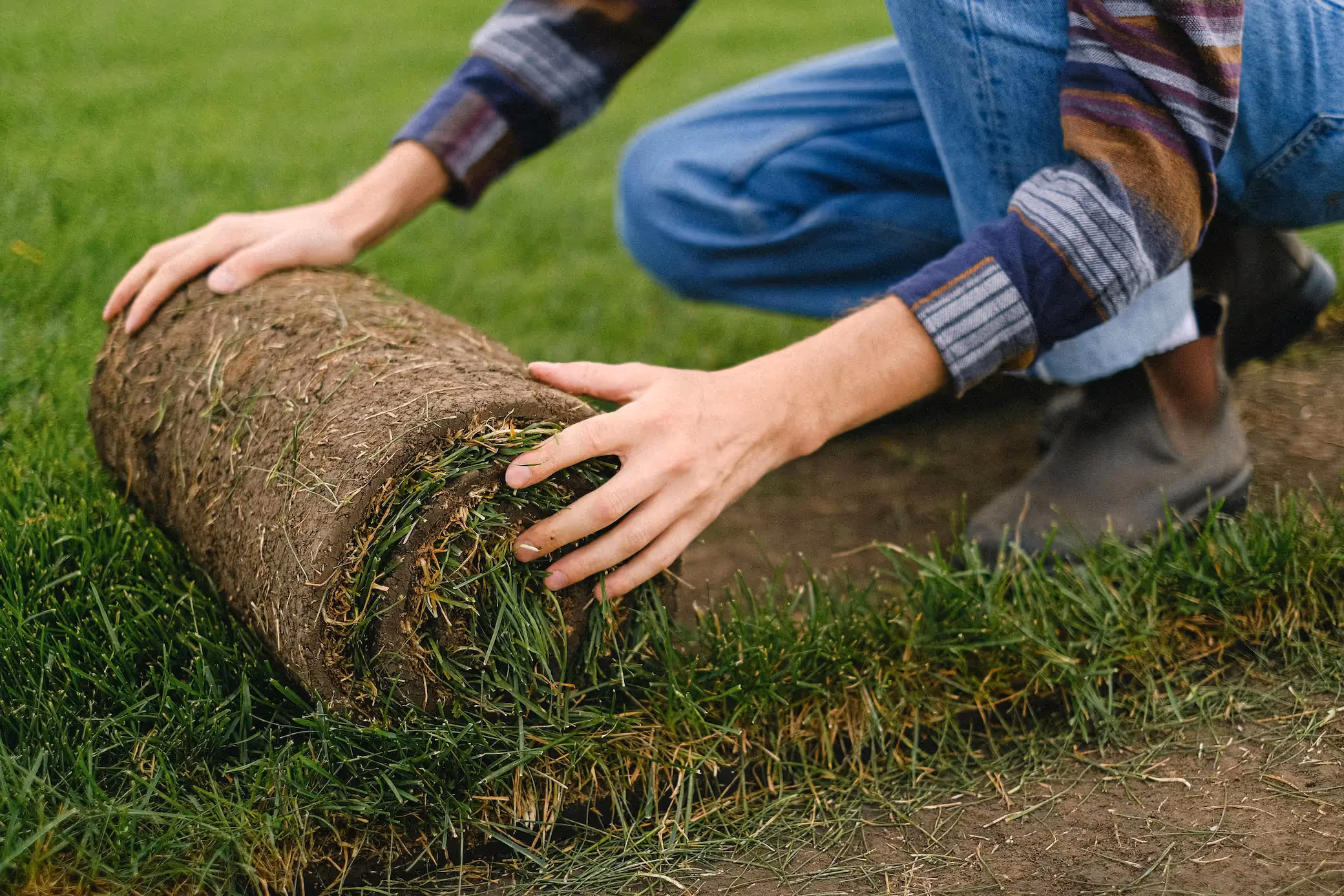 Close-up of a landscaper laying fresh sod onto prepared soil for a new lawn installation