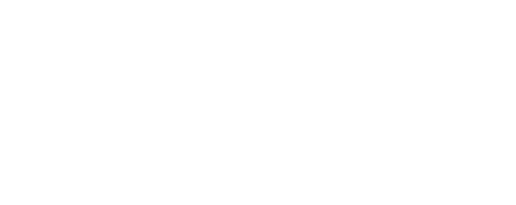 Q.ANT