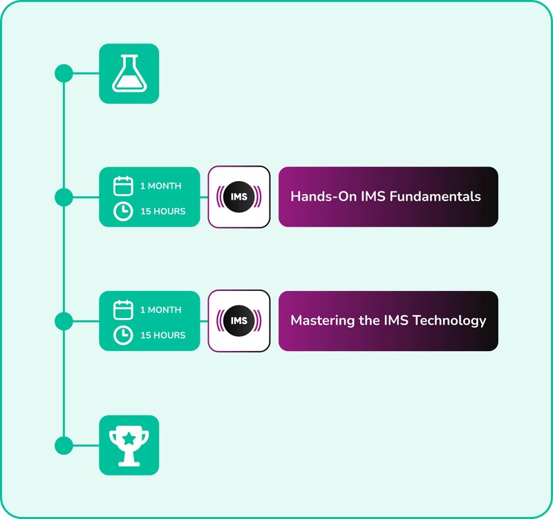 Understanding IMS: A Simple Guide to Advanced Knowledge