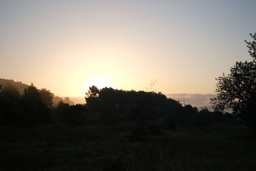 What Happens When You Cannot Feel Anger – And Why It’s Important to Acknowledge this?