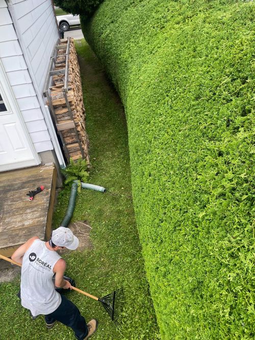 Tailleur de haie de cèdre à St-Jean