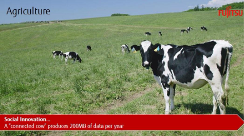 A group of cows grazing in a fieldAI-generated content may be incorrect.