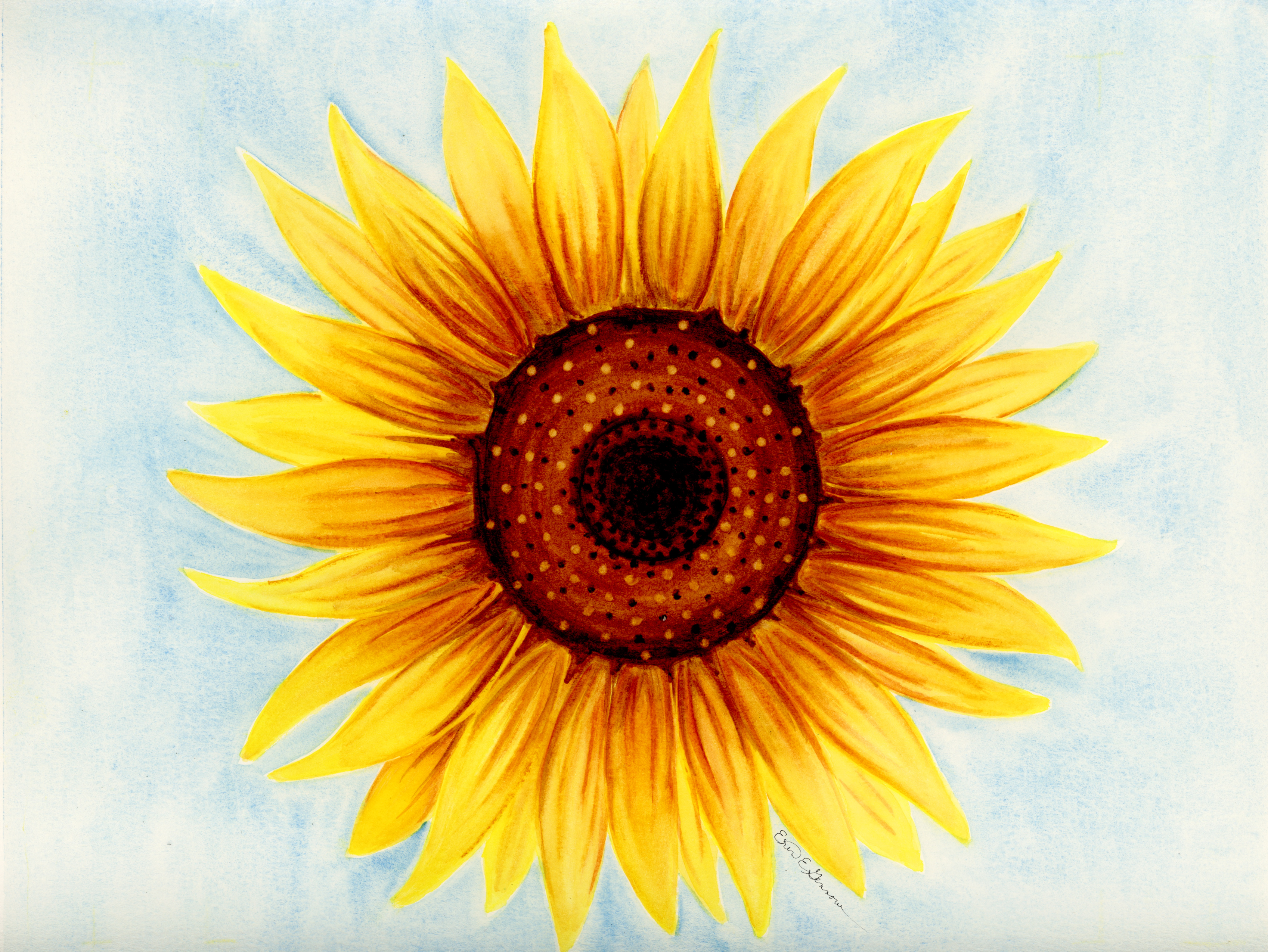 Close-up illustration of a bright yellow sunflower with a brown center against a light blue background.