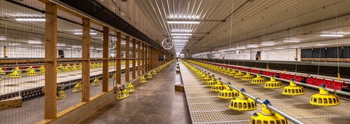 Cornell Feenstra Electric Ltd photo 4