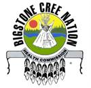 Supporting Healing and Wellness for Survivors and Families