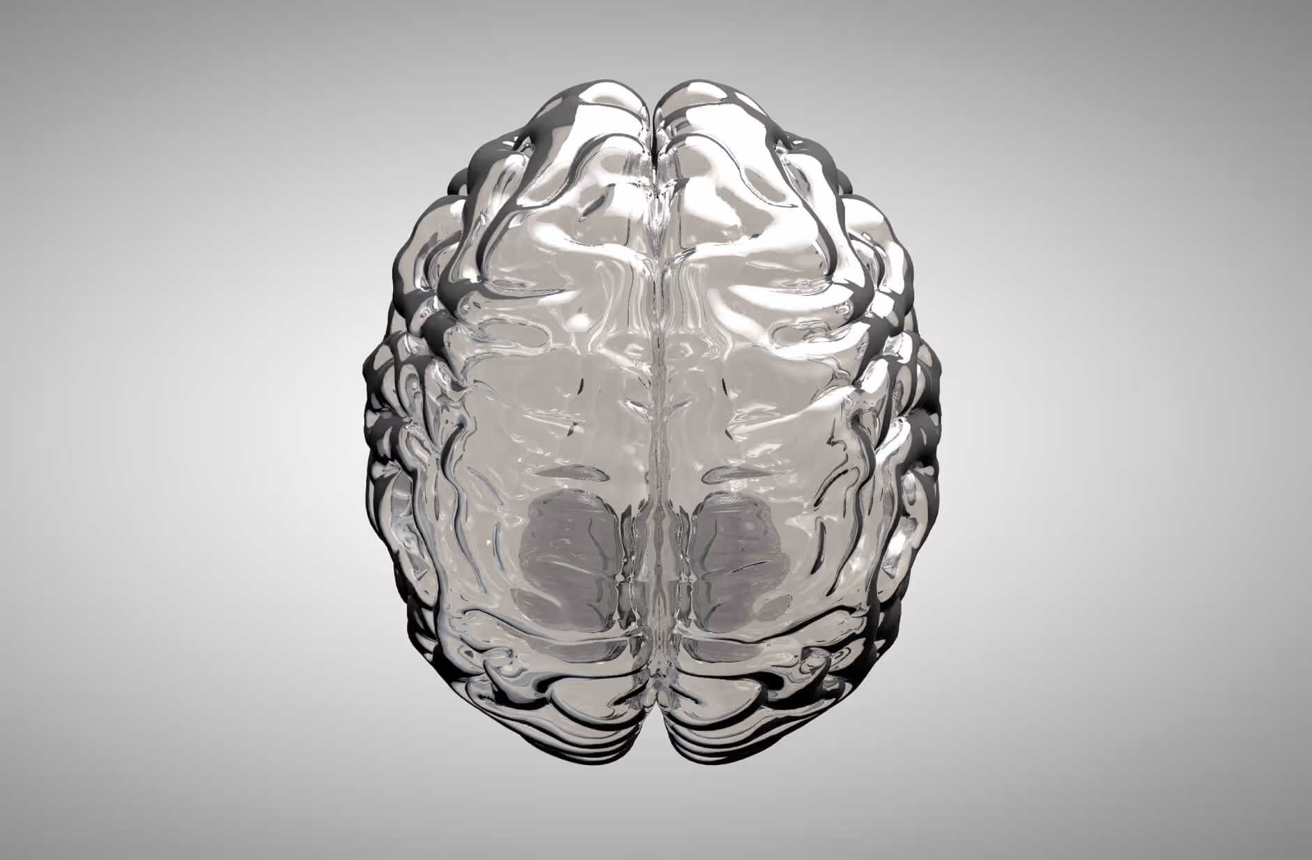 Transparent glass-like 3D rendering of a human brain against a light gray background.