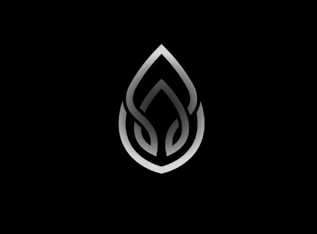 Abstract silver flame-shaped logo on black background.