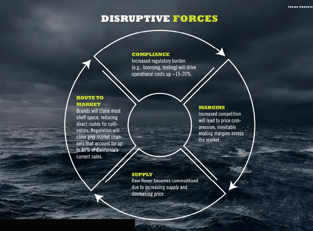 Diagram titled 'Disruptive Forces' showing four factors around a circle with arrows: Compliance increases regulatory costs; Margins face pressure from competition; Supply commoditizes raw flower reducing prices; Route to Market limits shelf space and closes grey market channels.