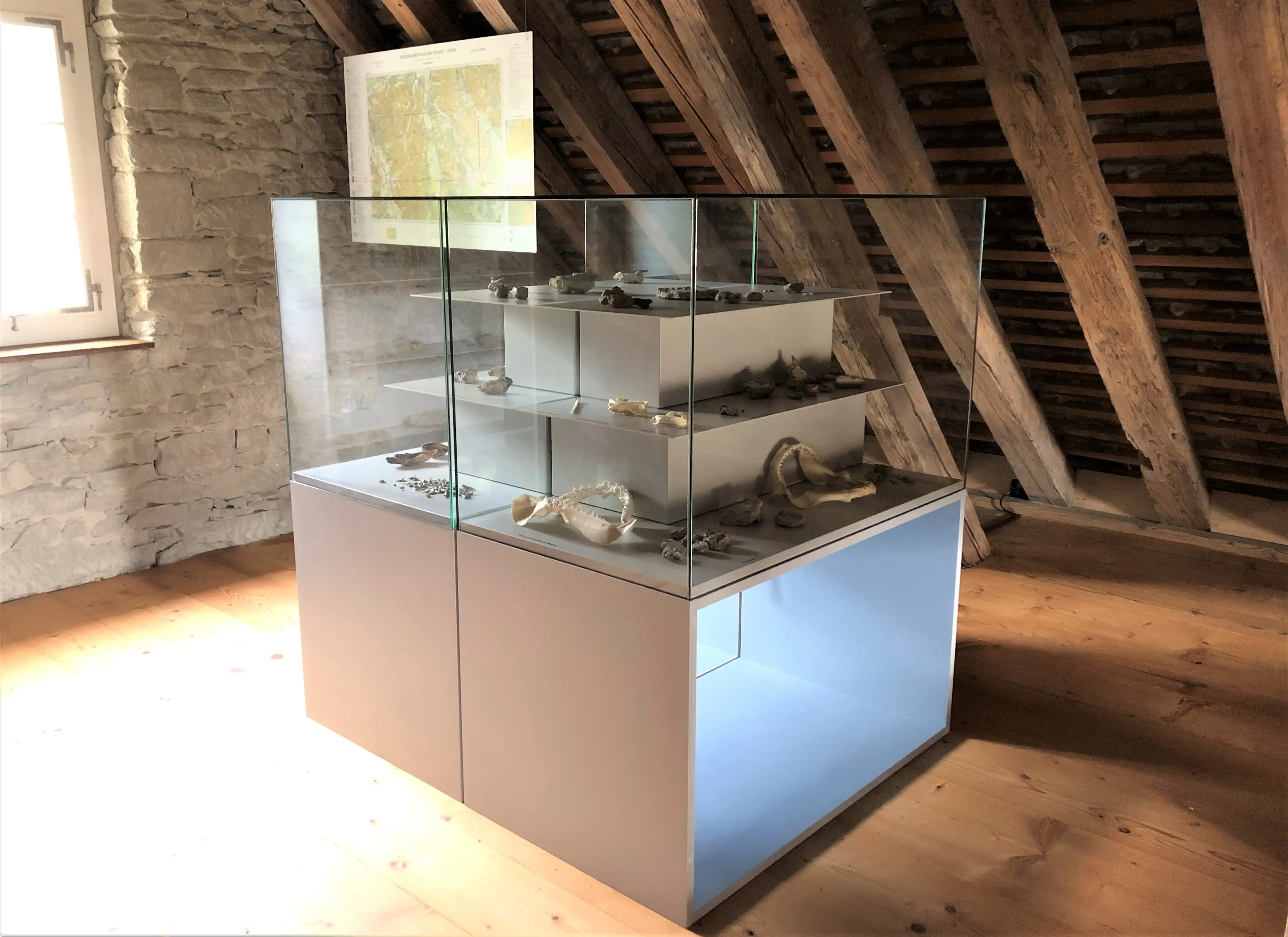 Ausstellungsvitrine für fossile Funde aus den Staffelbacher Sandsteinbrüchen
