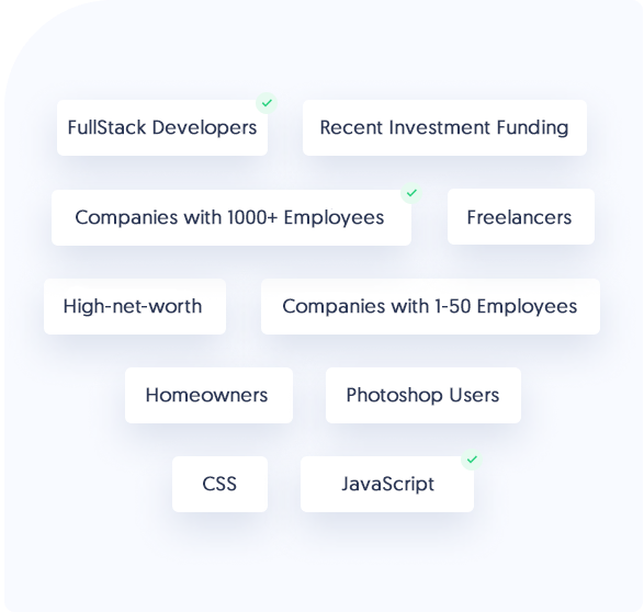 targeted newsletter ads for developers