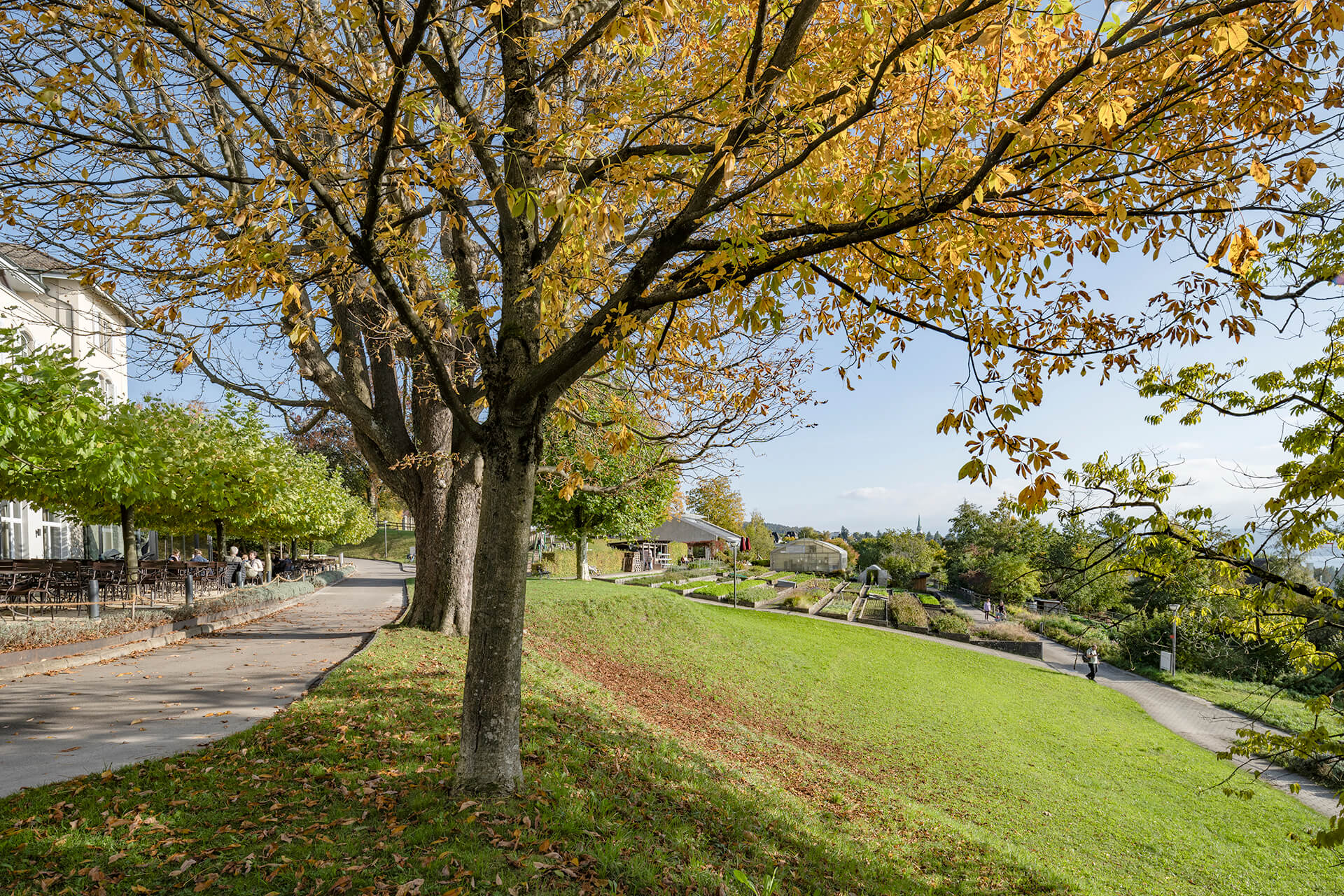 Die Gärtnerei unterhalb der aussichtsreichen Krete ist Teil Arbeits- und Ausbildungsangebots der EPI-Stiftung und trägt zur Vielfalt des Parks am Hang bei.