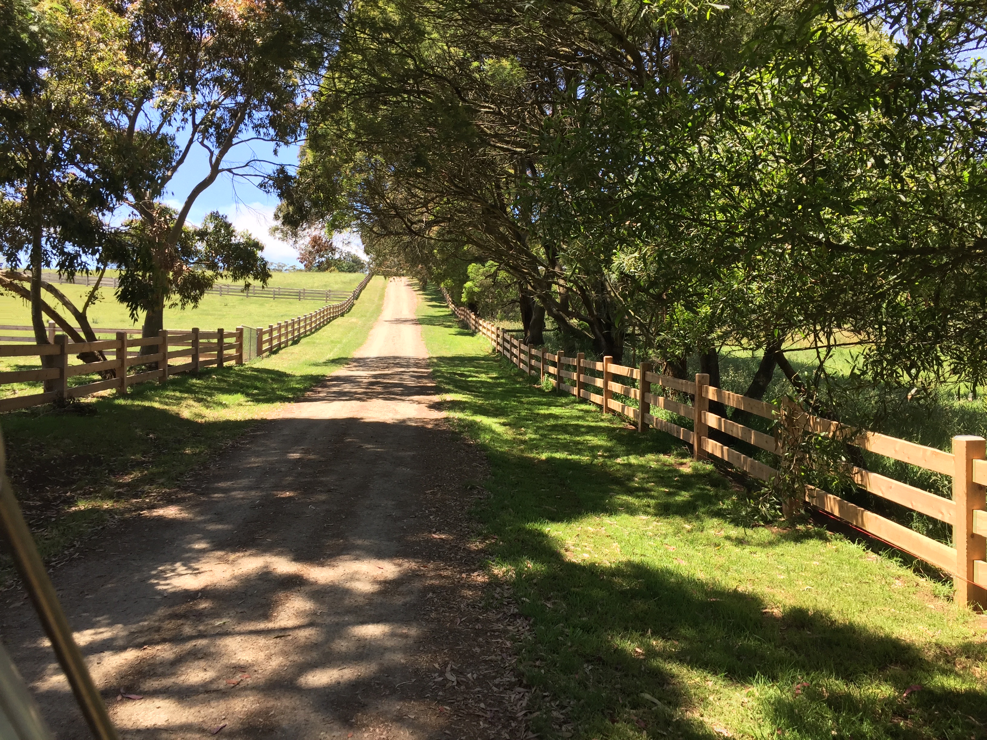 Removable bollards at Whitehorse Council