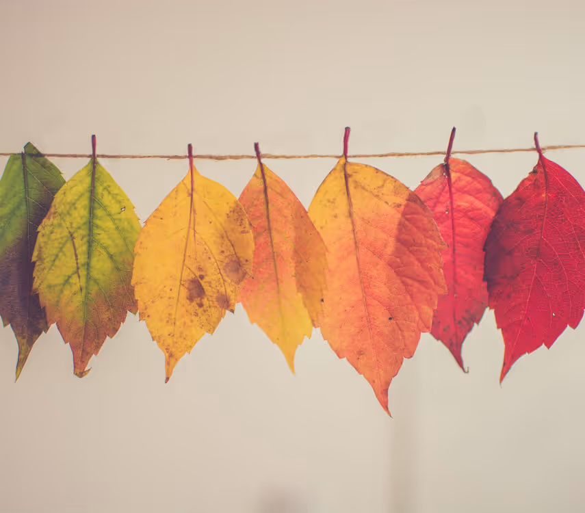 Regulatory information management (RIM) systems and organizational change management