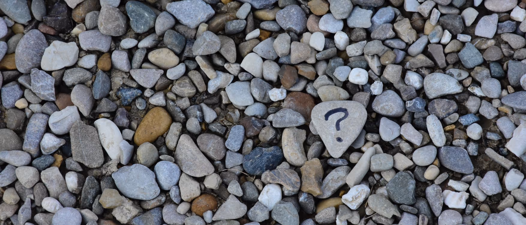 Ask us Anything ... about UDI!