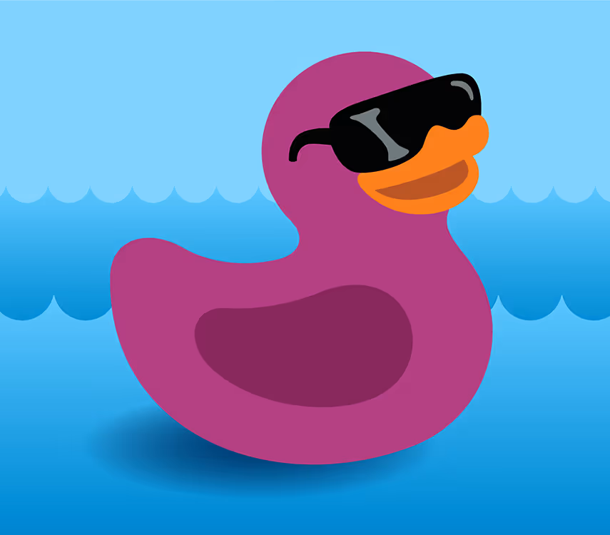 What's up with the duck?