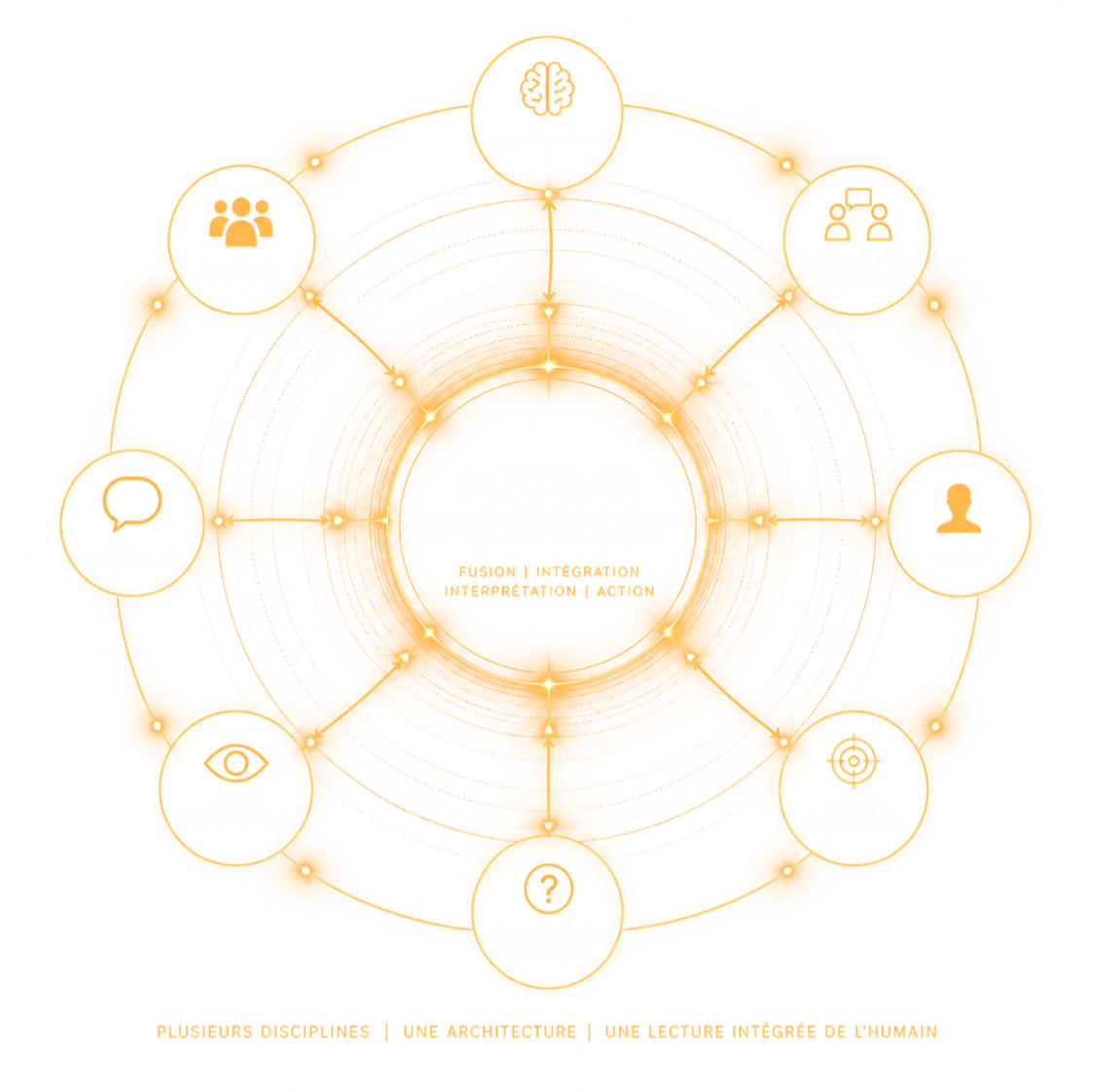 Modèles INTERNOVECO : plusieurs disciplines, une architecture, une lecture intégrée de l’humain