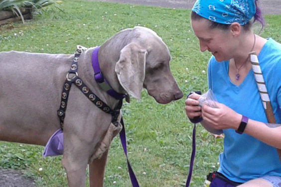 Image of Mary Ellen and Skye the dog together
