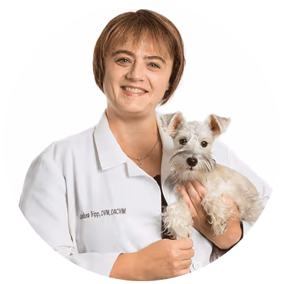 A profile image of Dr. Chelsea Tripp