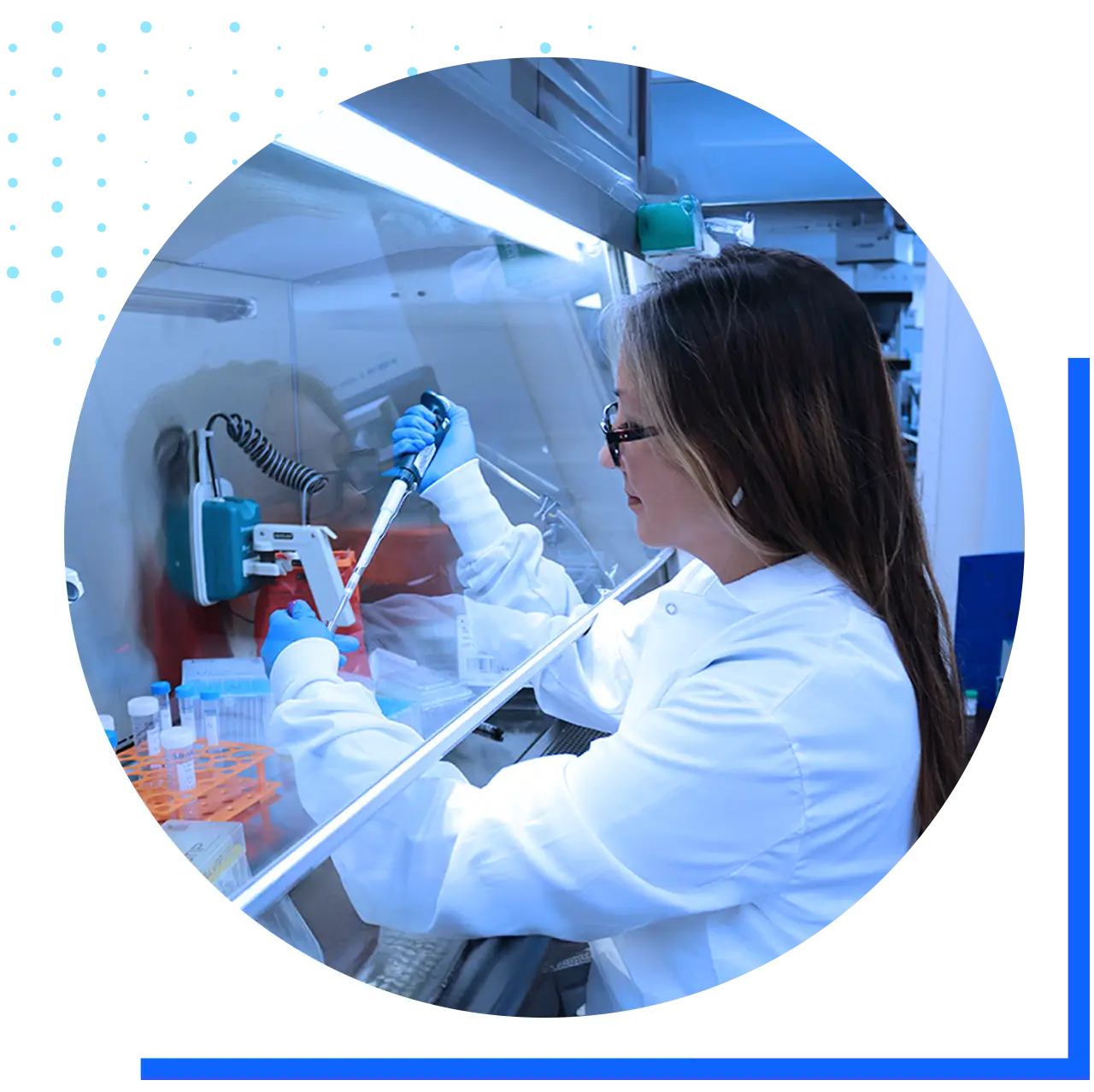 Scientist wearing a white lab coat and blue gloves using a pipette inside a laboratory biosafety cabinet.
