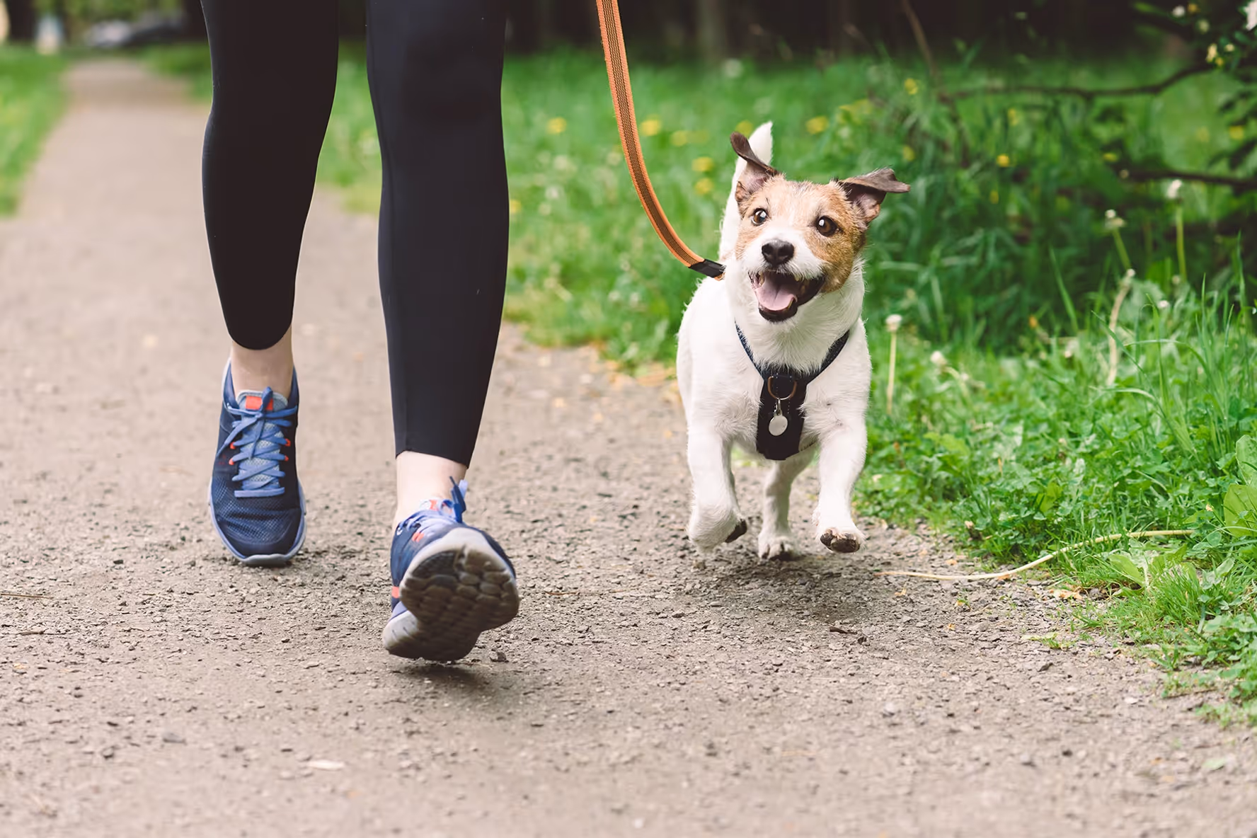 Woman running with her dog 