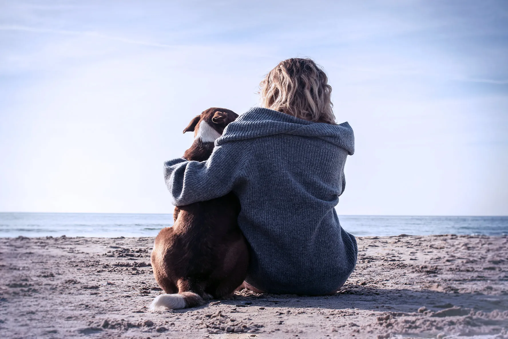 Senior dog resting peacefully on a soft blanket at home
