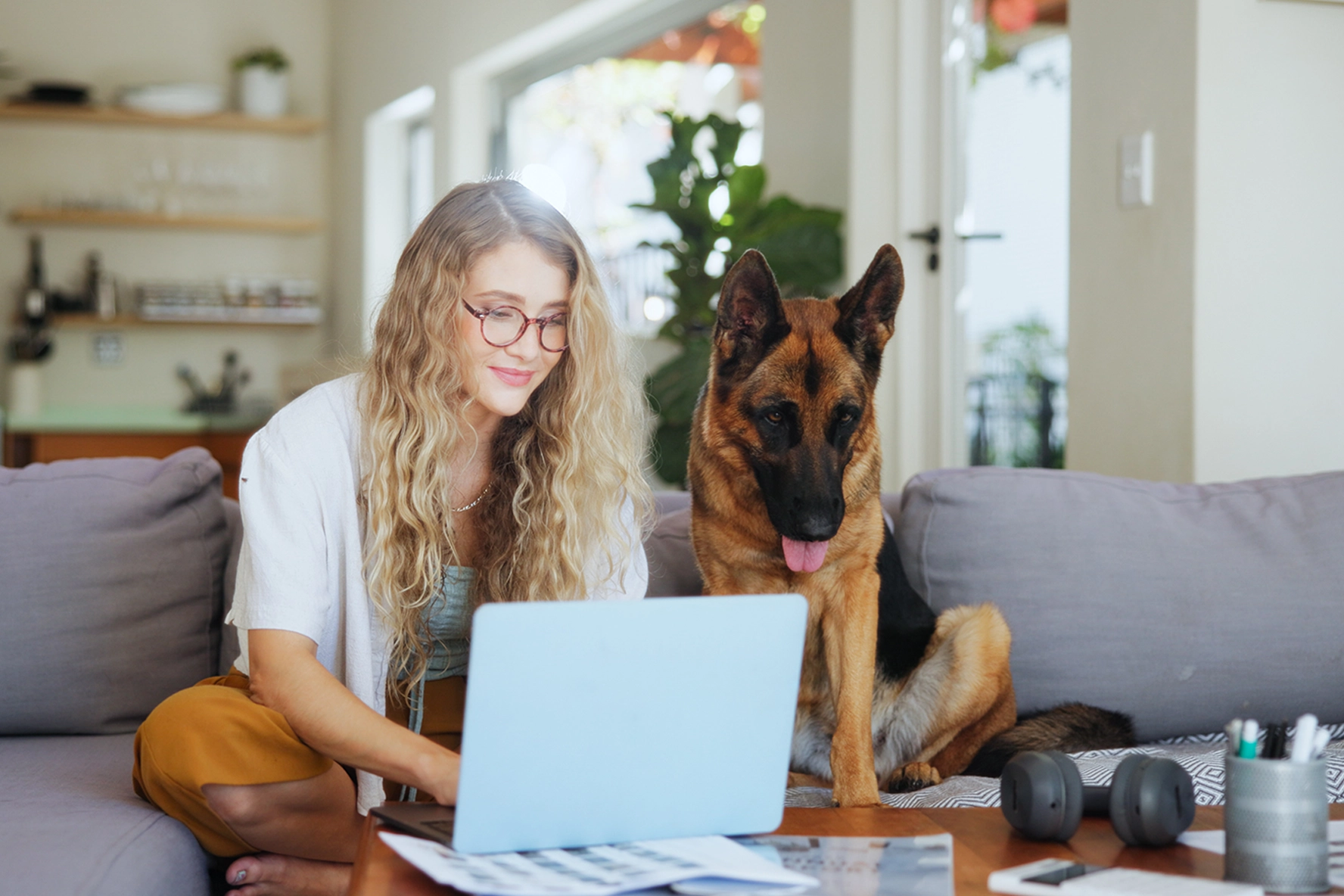 Vet hanging out with its owner