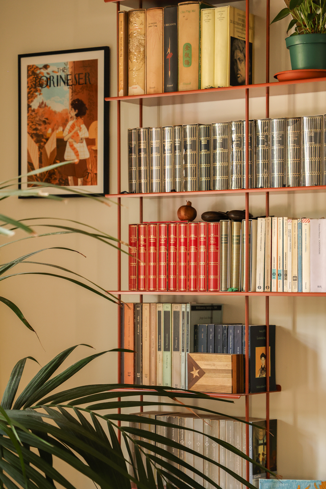 ANTONELLI library detail picture