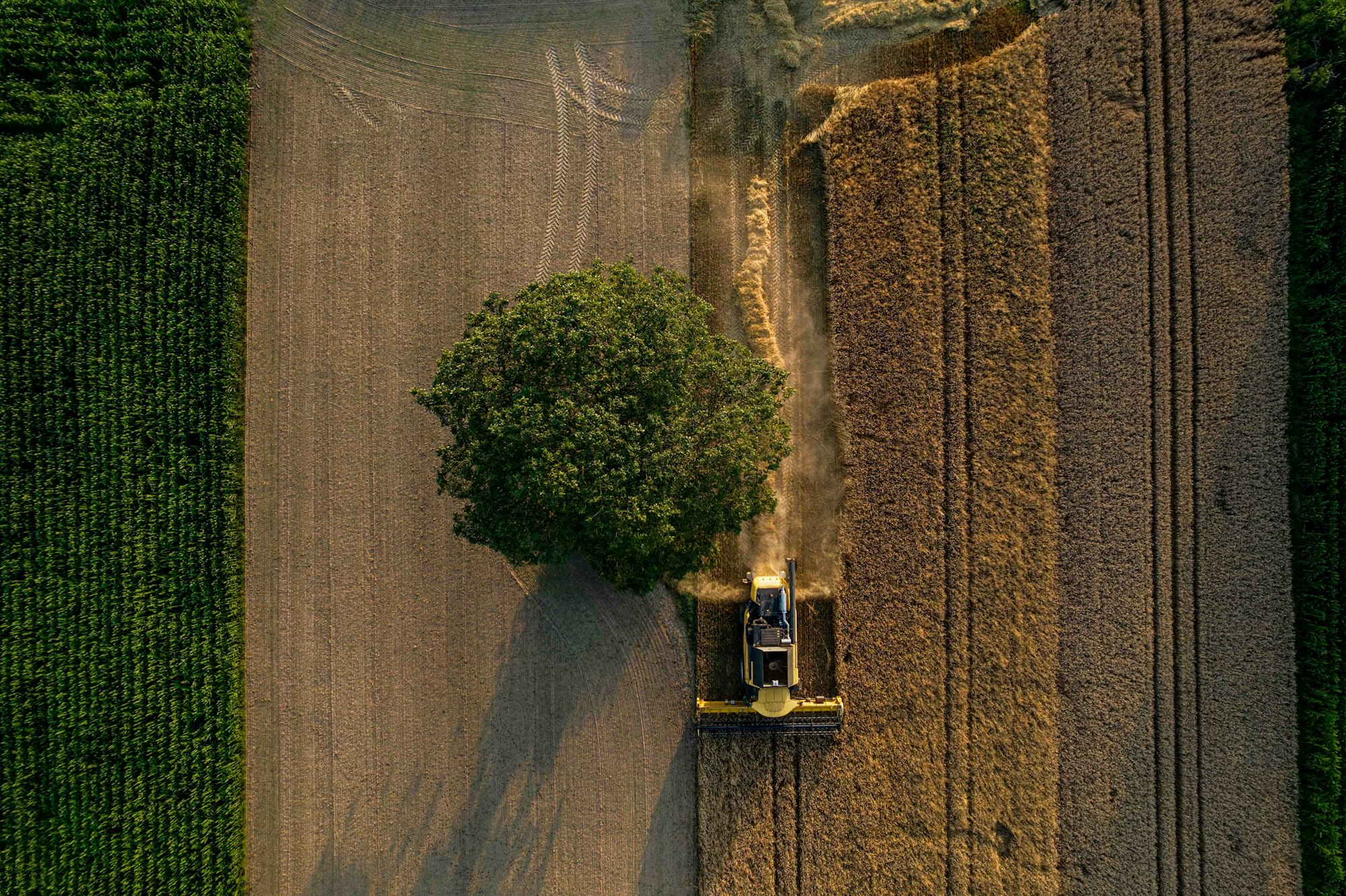 Aerial view of a harvest at sunset